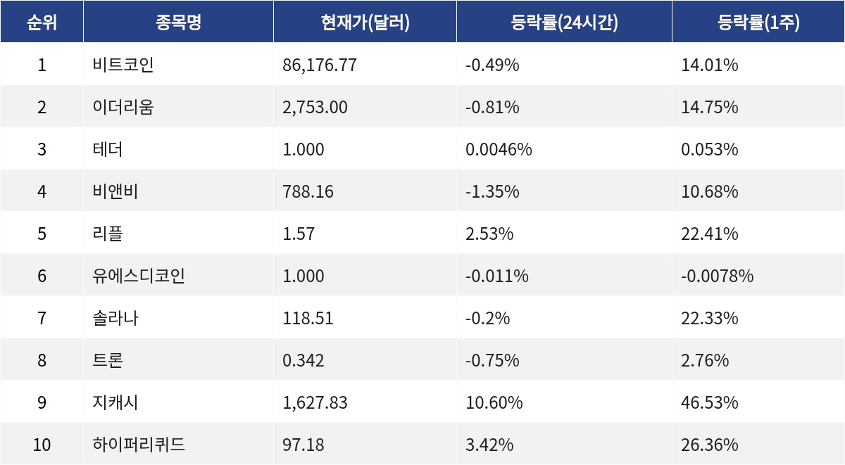 ▲자료제공=MetaVX