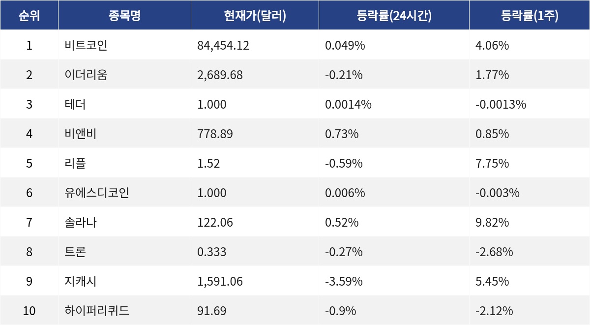 ▲자료제공=MetaVX