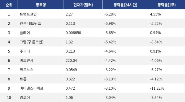 ▲자료제공=MetaVX