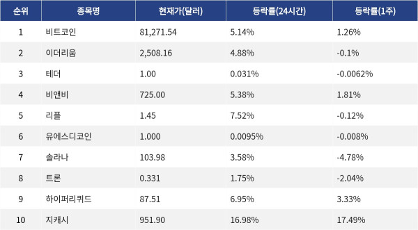 ▲자료제공=MetaVX