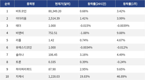 ▲자료제공=MetaVX