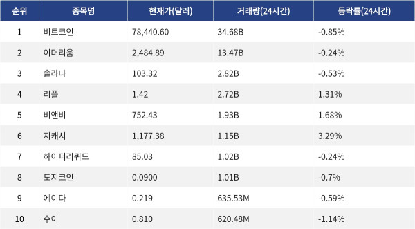 ▲자료제공=MetaVX