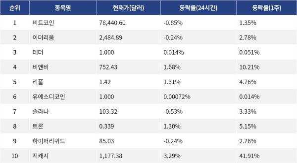 ▲자료제공=MetaVX