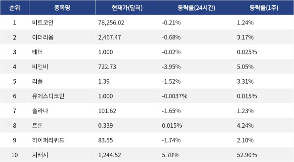 ▲자료제공=MetaVX