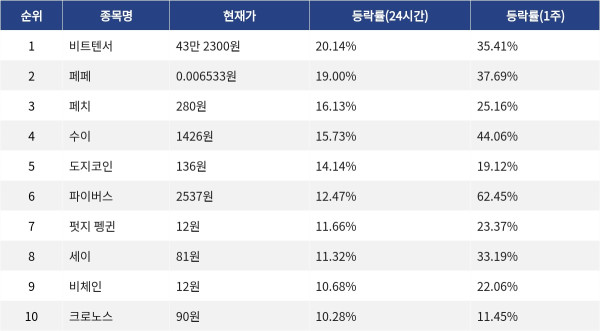 ▲자료제공=MetaVX