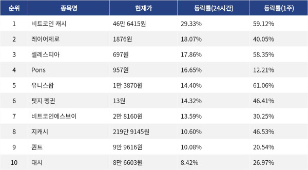 ▲자료제공=MetaVX
