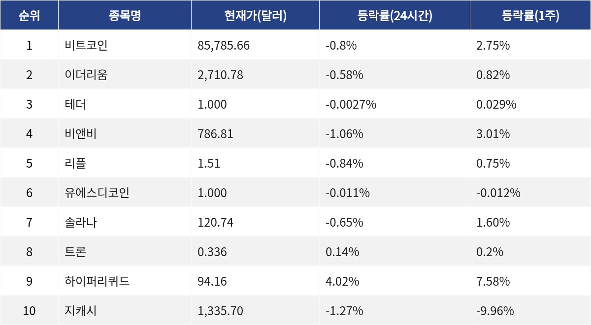 ▲자료제공=MetaVX