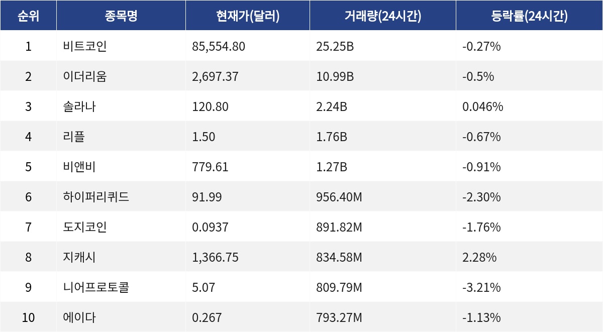 ▲자료제공=MetaVX