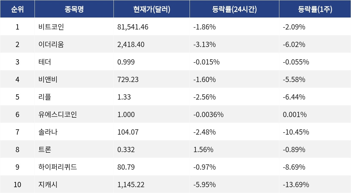 ▲자료제공=MetaVX