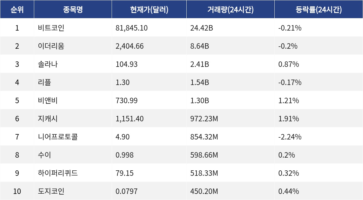 ▲자료제공=MetaVX