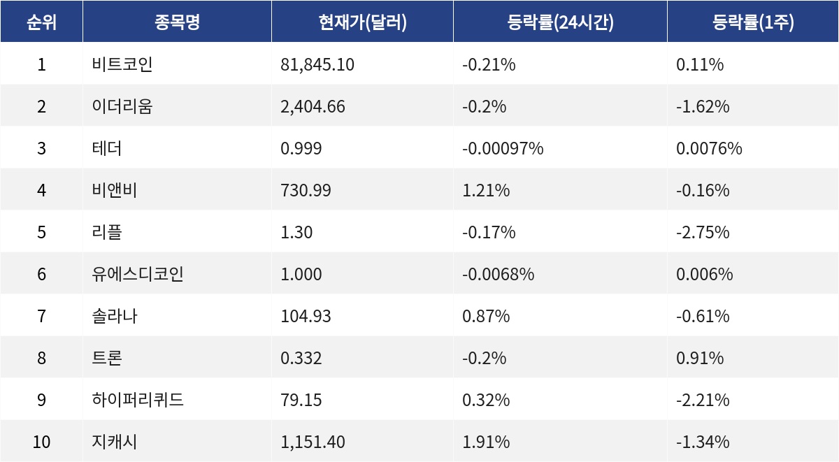 ▲자료제공=MetaVX
