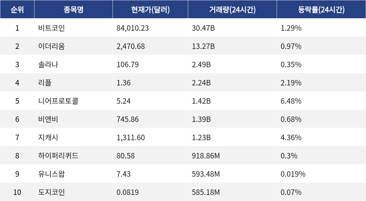 ▲자료제공=MetaVX