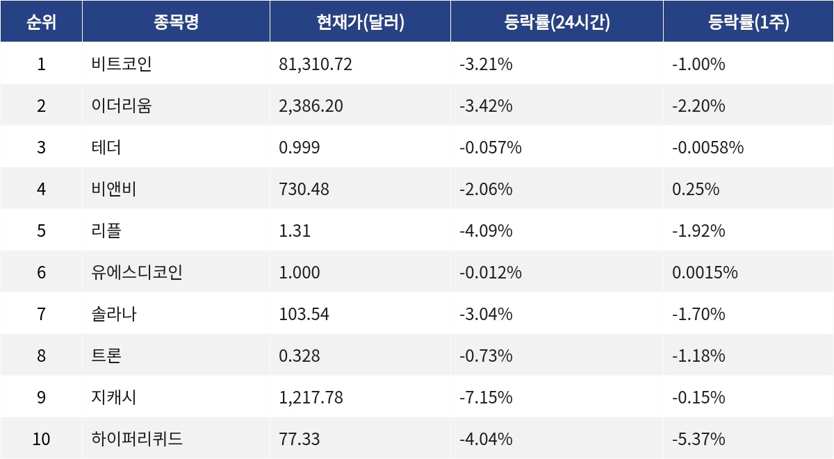 ▲자료제공=MetaVX