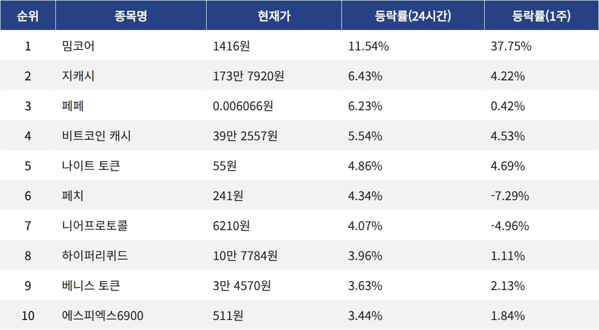 ▲자료제공=MetaVX