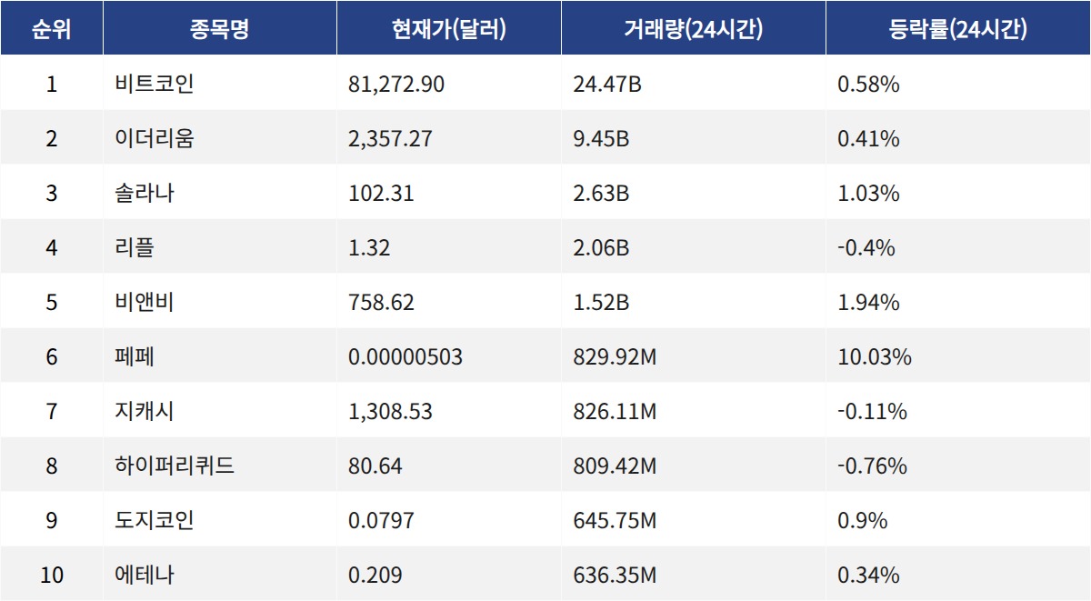 ▲자료제공=MetaVX