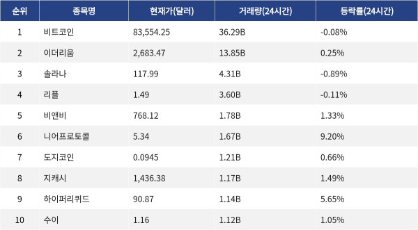 ▲자료제공=MetaVX