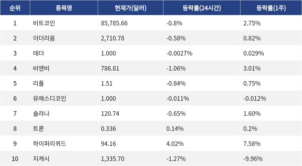 ▲자료제공=MetaVX