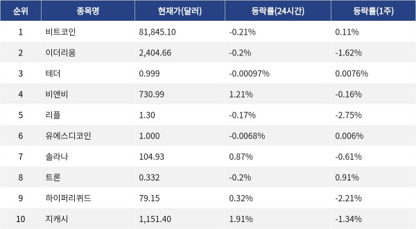 ▲자료제공=MetaVX