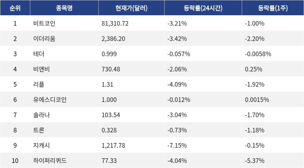 ▲자료제공=MetaVX