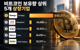 밈코인 지갑 90% 손실에도 앱은 수수료 4000만 달러 확보